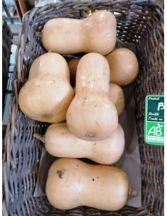 Butternut bio