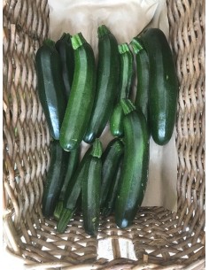 Courgette bio