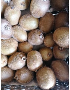 Kiwi bio