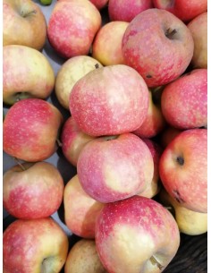 Pomme bio