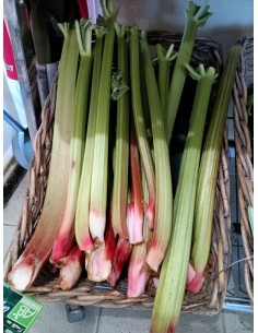 Rhubarbe
