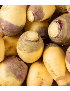 Rutabaga bio