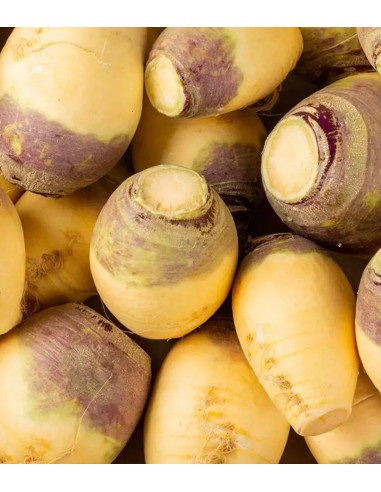 Rutabaga bio