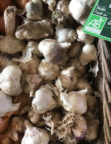 Ail blanc bio