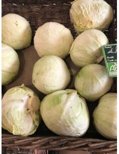 Chou blanc bio