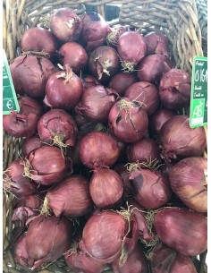 Oignon rouge bio