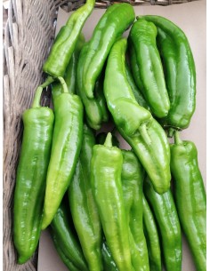 Piment doux des Landes bio